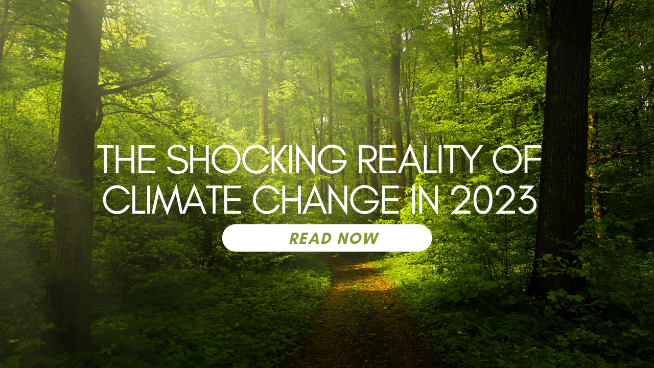 Climate Change: The Shocking Reality of Climate Change in 2023